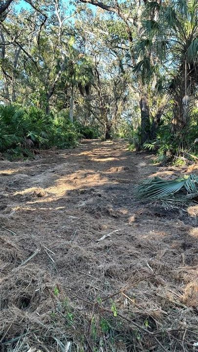 For Sale: $1,998,500 (4.19 acres)