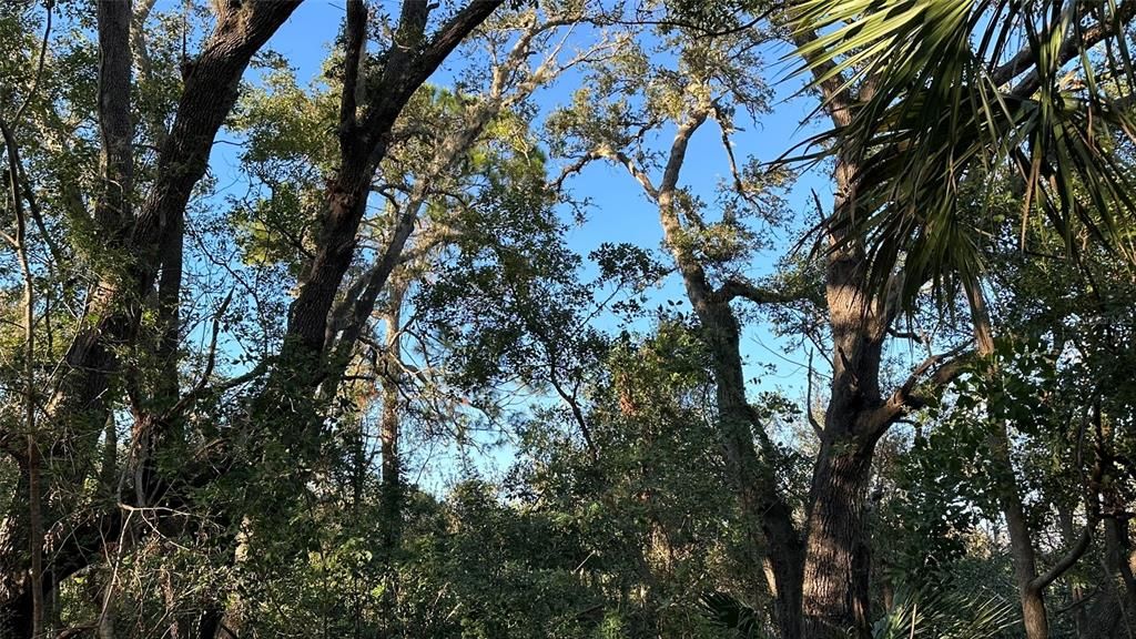 For Sale: $2,099,000 (4.19 acres)