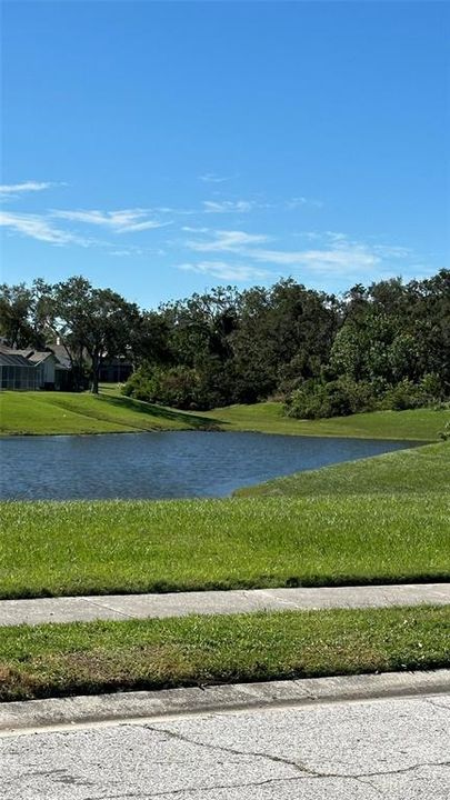 For Sale: $2,099,000 (4.19 acres)