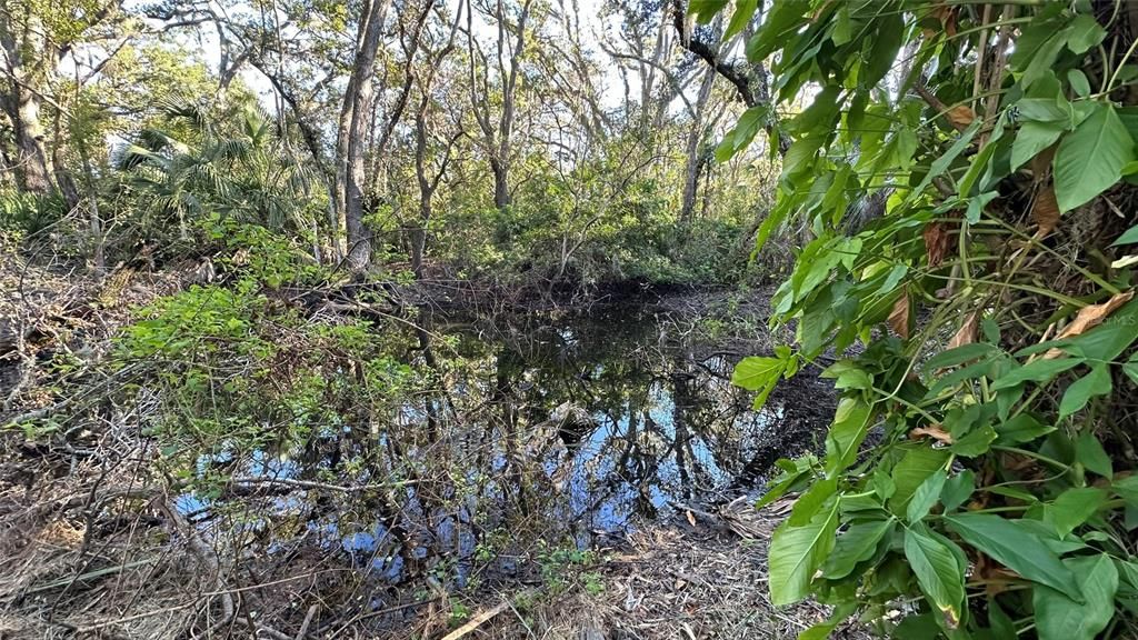 For Sale: $1,998,500 (4.19 acres)