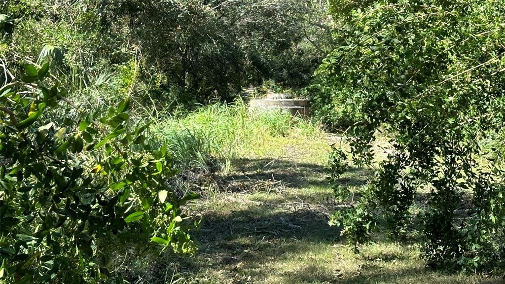 For Sale: $2,099,000 (4.19 acres)