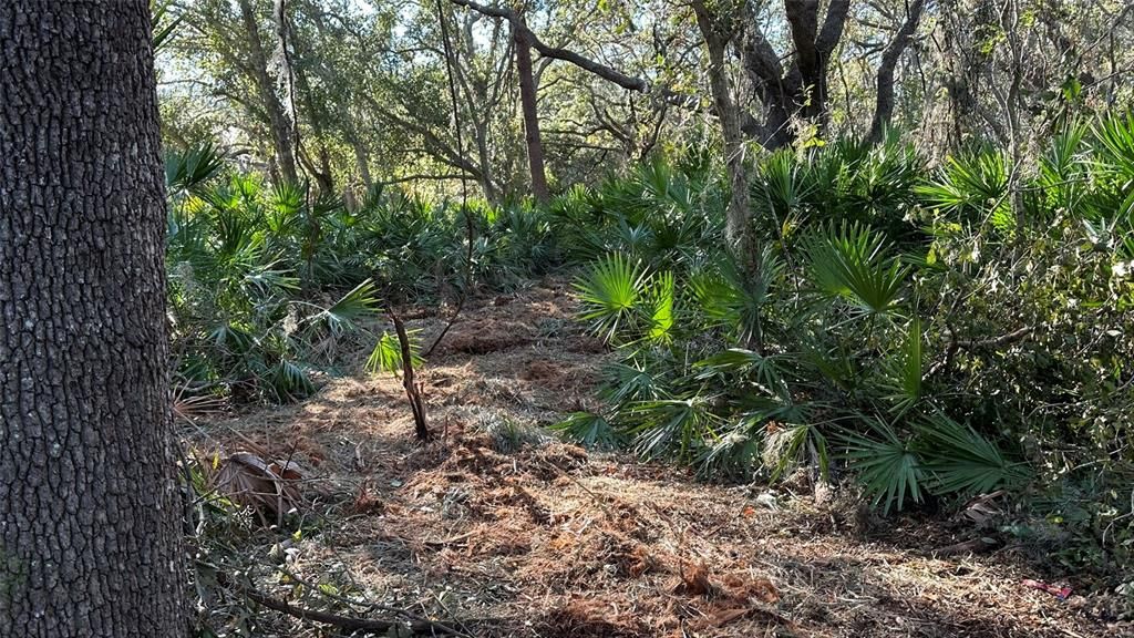 For Sale: $2,099,000 (4.19 acres)