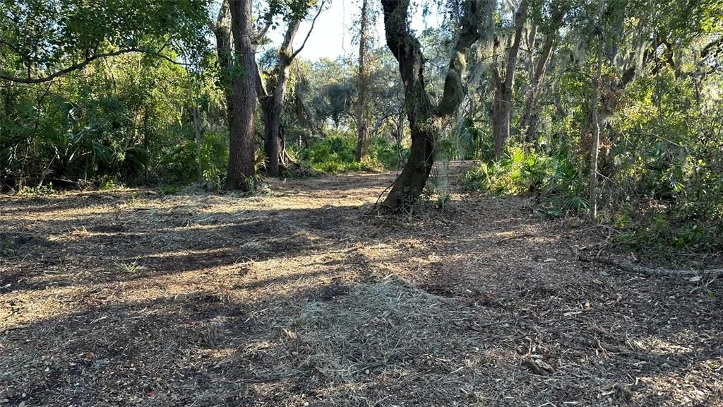 For Sale: $2,099,000 (4.19 acres)