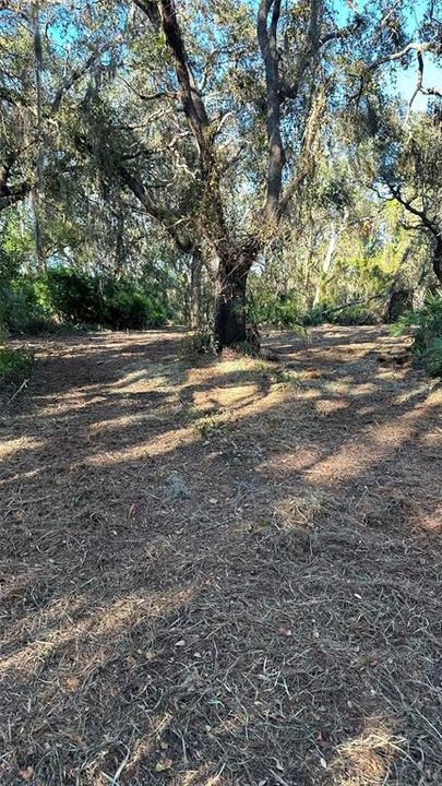 For Sale: $2,099,000 (4.19 acres)