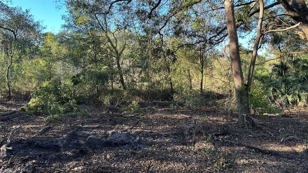 For Sale: $2,099,000 (4.19 acres)