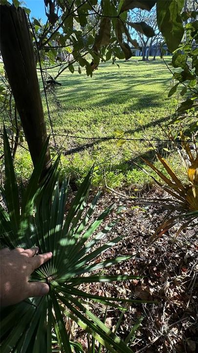 For Sale: $2,099,000 (4.19 acres)