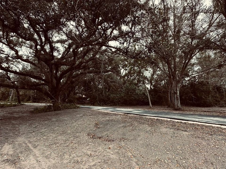 For Sale: $1,998,500 (4.19 acres)