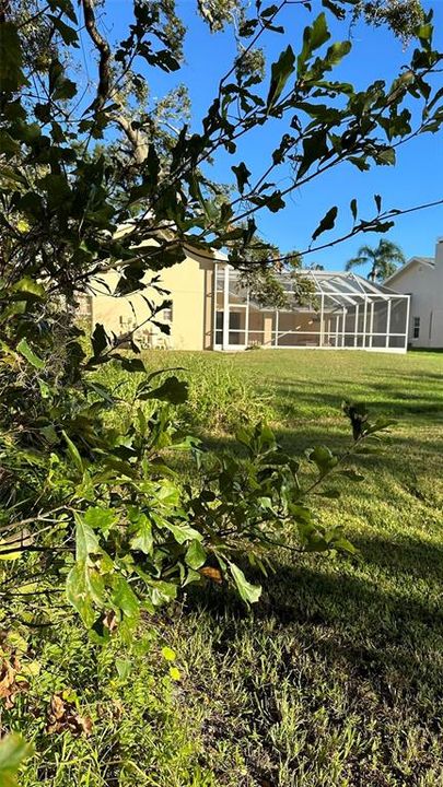 For Sale: $2,099,000 (4.19 acres)