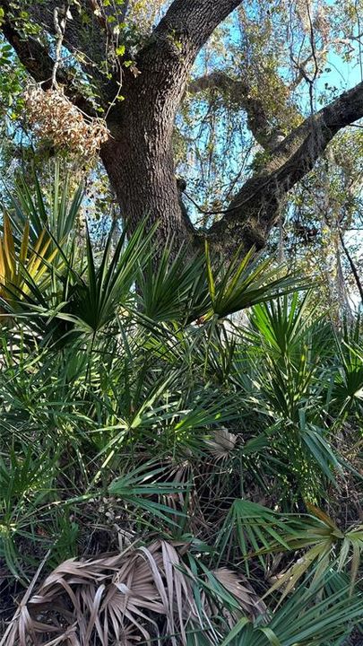 For Sale: $2,099,000 (4.19 acres)