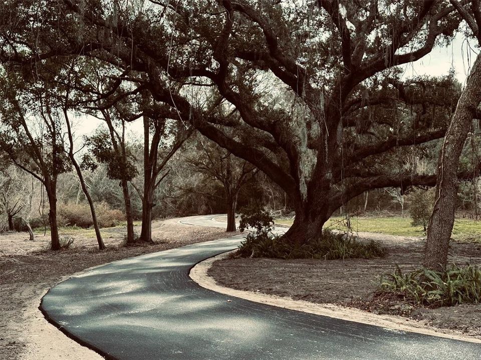 For Sale: $1,998,500 (4.19 acres)