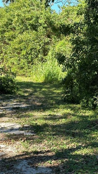 For Sale: $2,099,000 (4.19 acres)