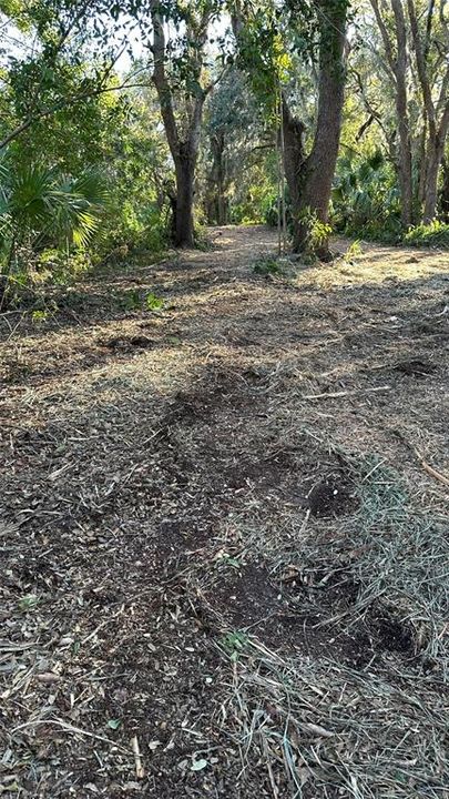 For Sale: $2,099,000 (4.19 acres)