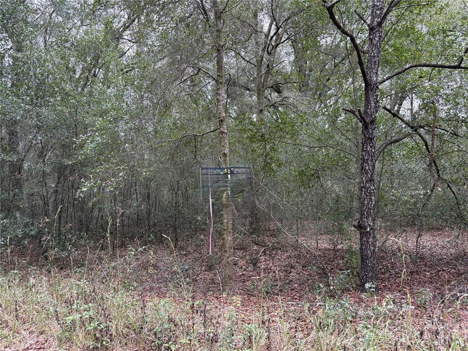 For Sale: $13,900 (0.23 acres)