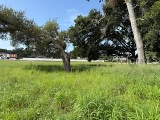 For Sale: $35,000 (0.09 acres)