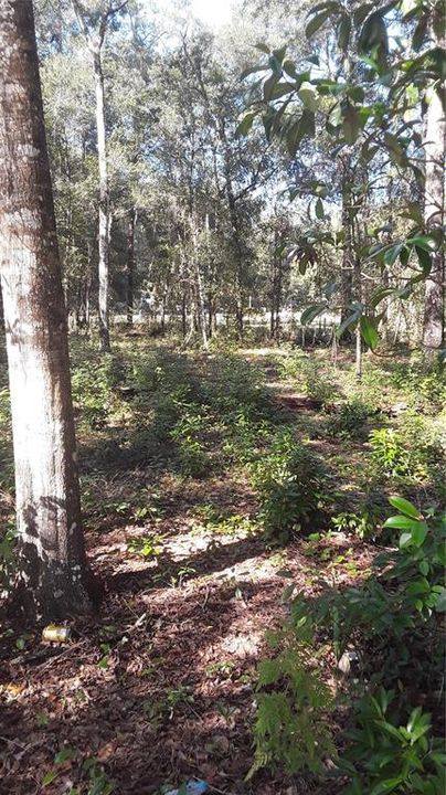 最近售出: $4,900 (0.14 acres)