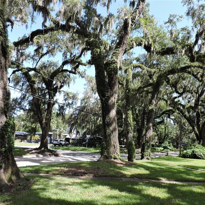 Activo con contrato: $420,000 (4 camas, 2 baños, 2793 Pies cuadrados)