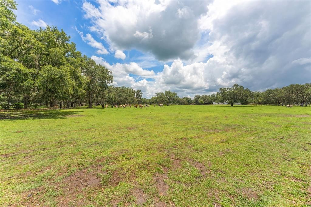 For Sale: $1,750,000 (5 beds, 4 baths, 3098 Square Feet)