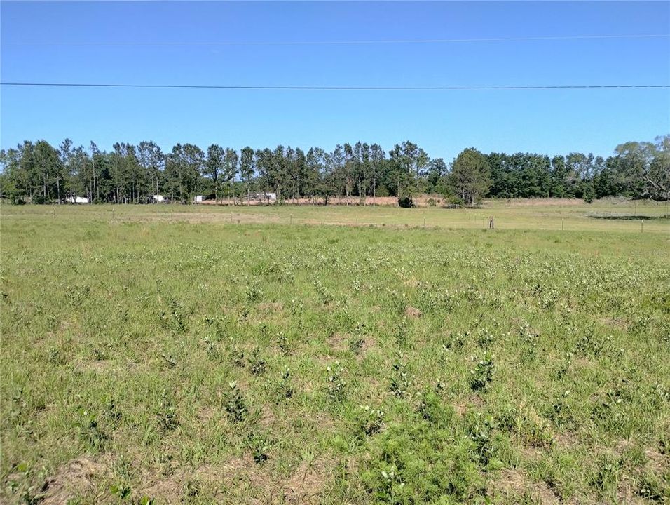 На продажу: $165,000 (10.00 acres)