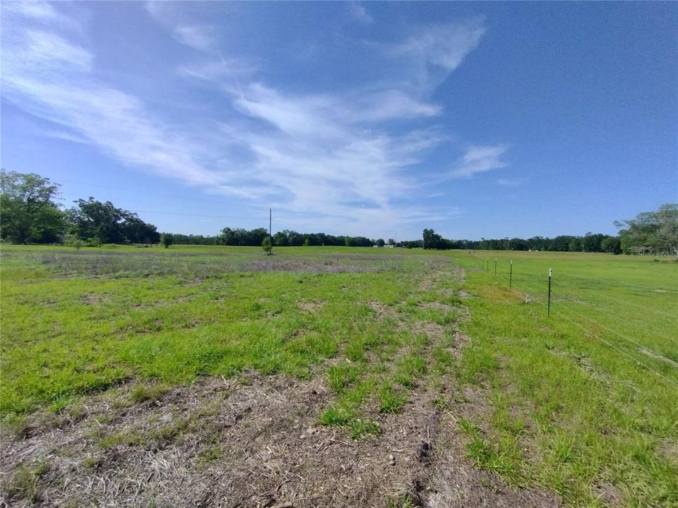 На продажу: $165,000 (10.00 acres)