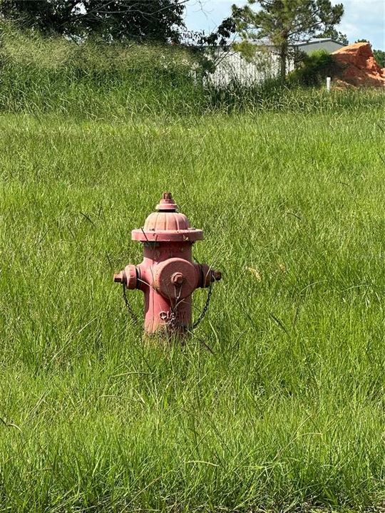 En Venta: $3,000,000 (0 camas, 0 baños, 1600 Pies cuadrados)