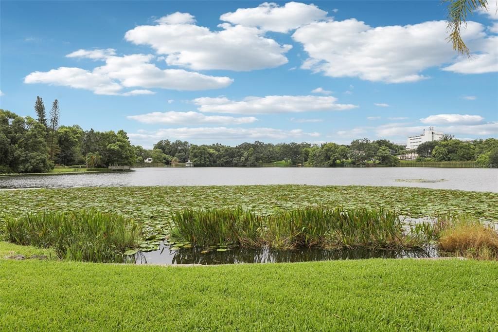 Под контрактом: $988,000 (3 спален, 2 ванн, 2927 Квадратных фут)