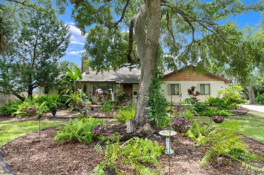 待售: $749,000 (3 贝兹, 2 浴室, 1812 平方英尺)