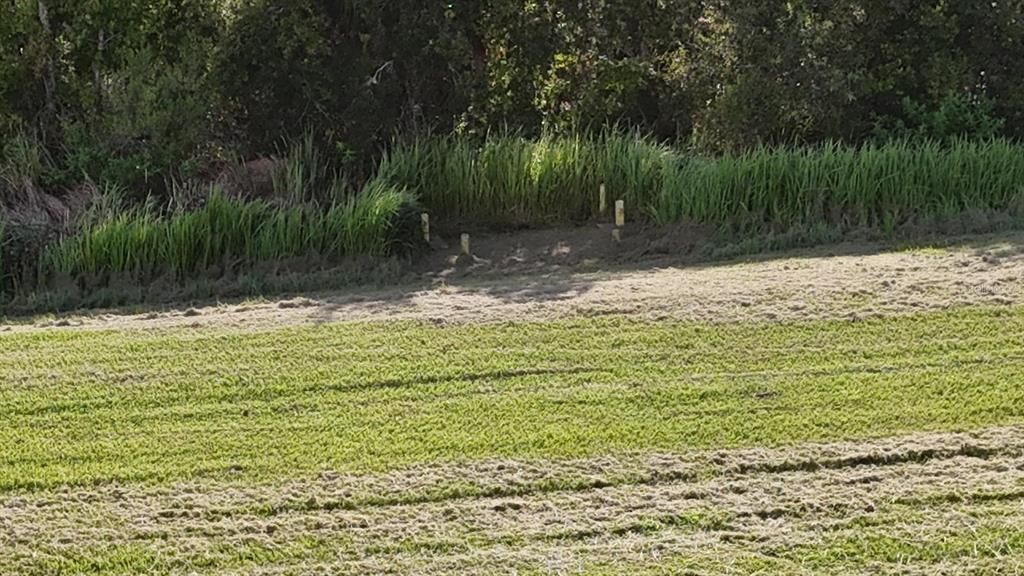 En Venta: $145,000 (0 camas, 0 baños, 0 Pies cuadrados)