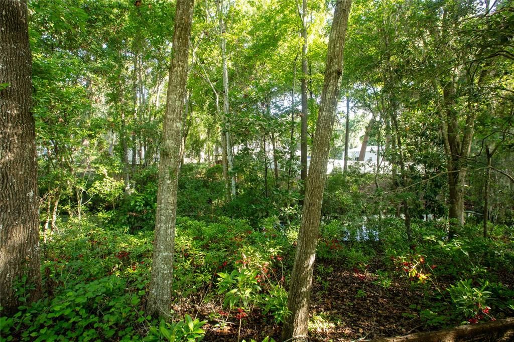 待售: $95,000 (0.51 acres)