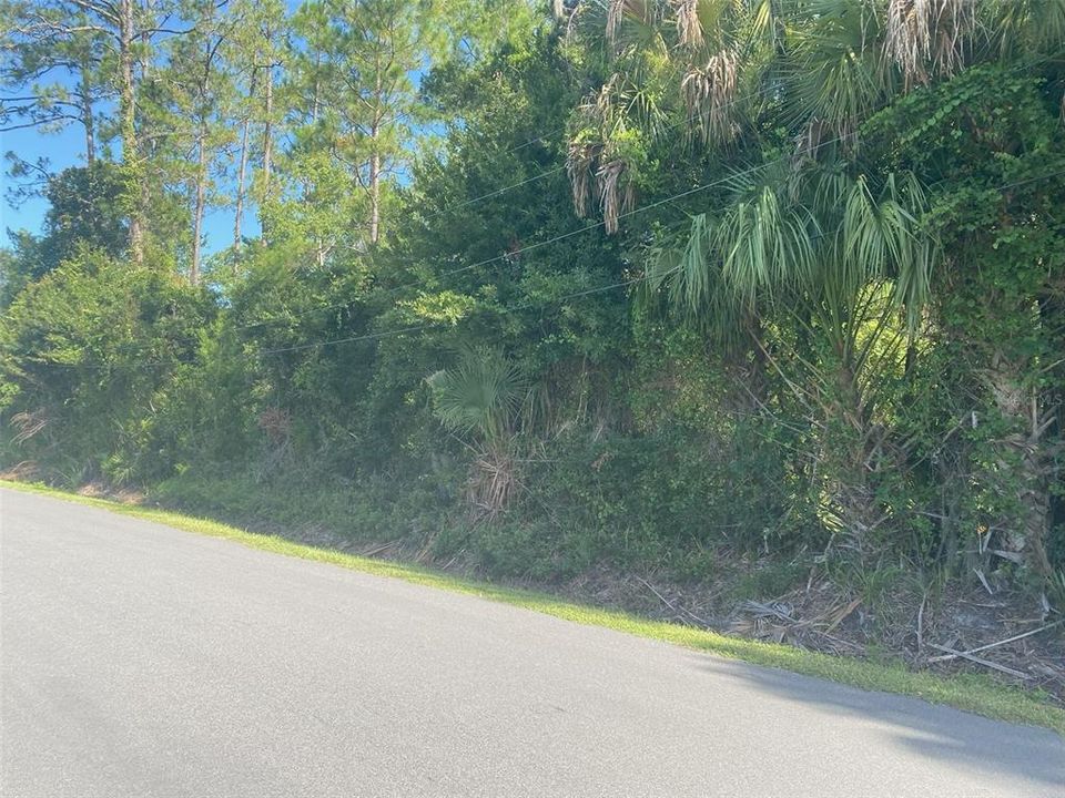 Recently Sold: $35,000 (0.12 acres)