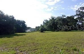 待售: $55,000 (1.06 acres)