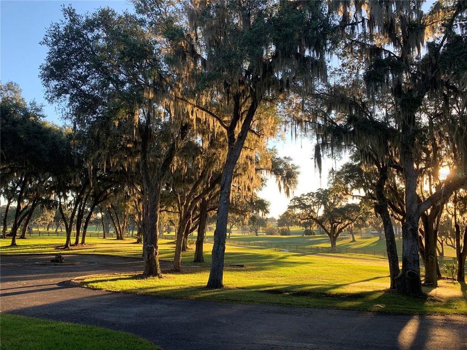 En Venta: $5,950,000 (0 camas, 1 baños, 504 Pies cuadrados)