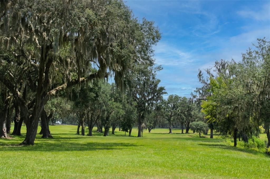 For Sale: $3,395,000 (0 beds, 1 baths, 504 Square Feet)