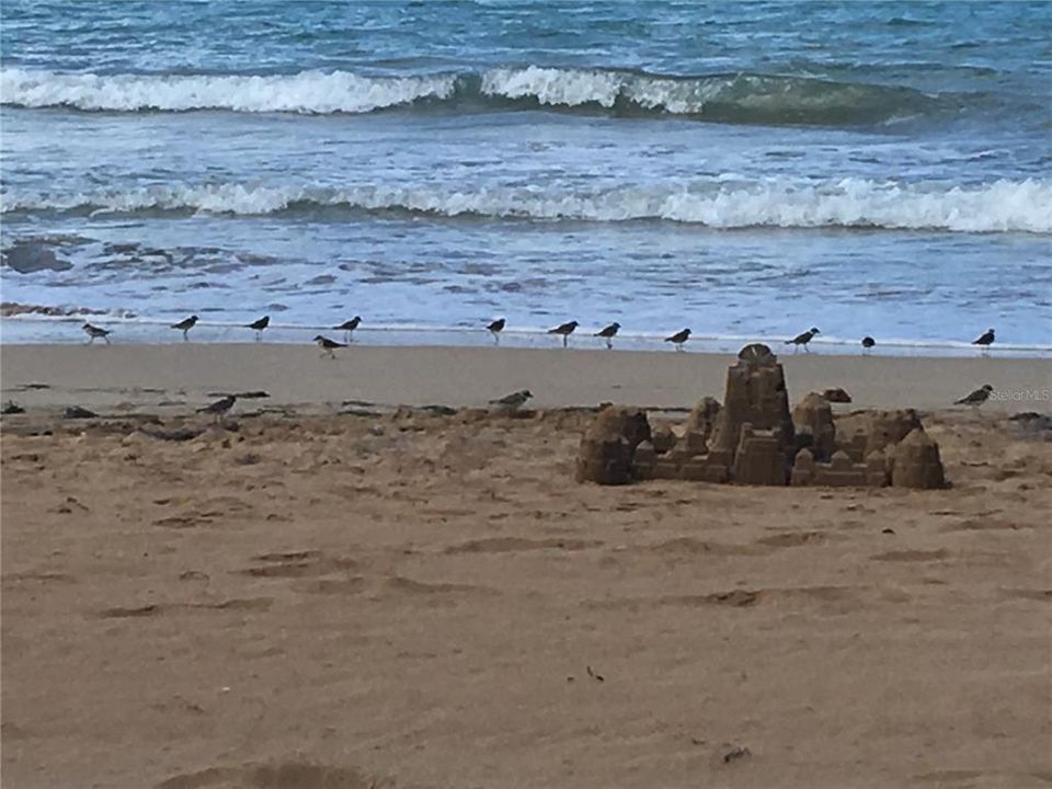 En Renta: $1,950 (1 camas, 2 baños, 900 Pies cuadrados)