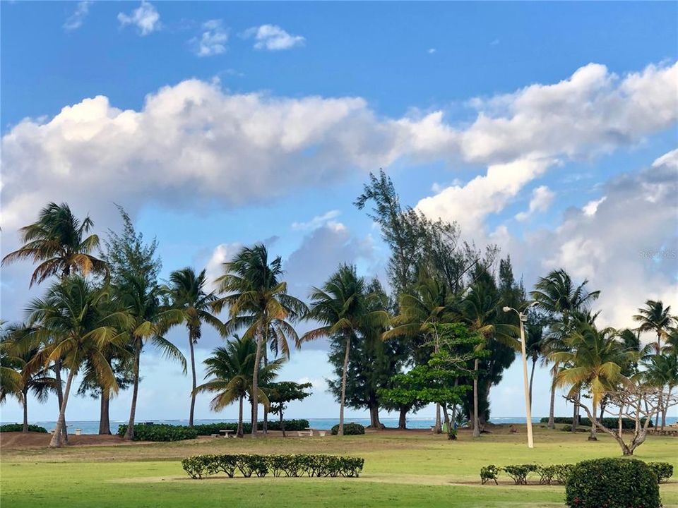 En Renta: $1,950 (1 camas, 2 baños, 900 Pies cuadrados)