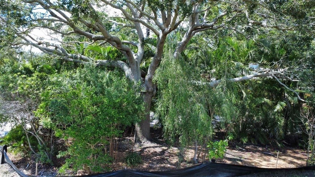 For Sale: $395,000 (0.18 acres)