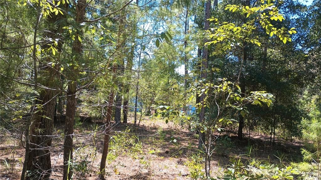 Под контрактом: $211,000 (3 спален, 2 ванн, 1456 Квадратных фут)