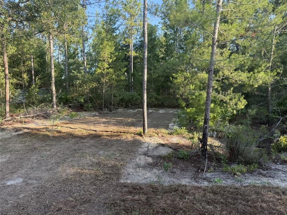 Под контрактом: $211,000 (3 спален, 2 ванн, 1456 Квадратных фут)