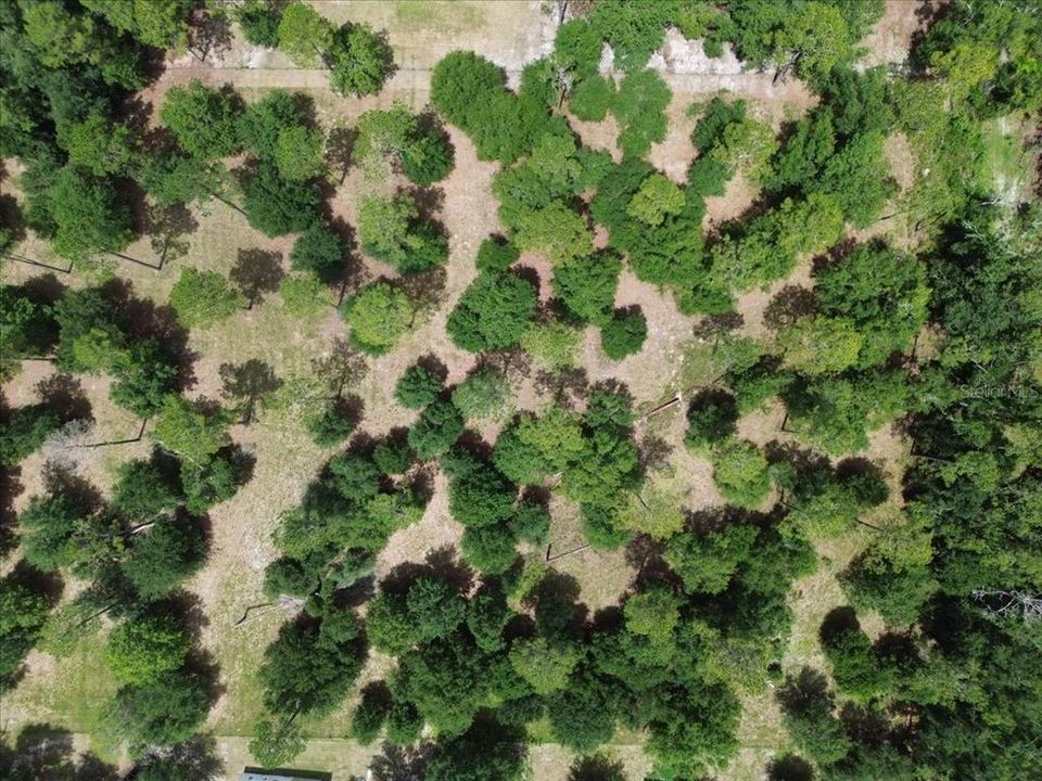 Activo con contrato: $85,000 (5.04 acres)