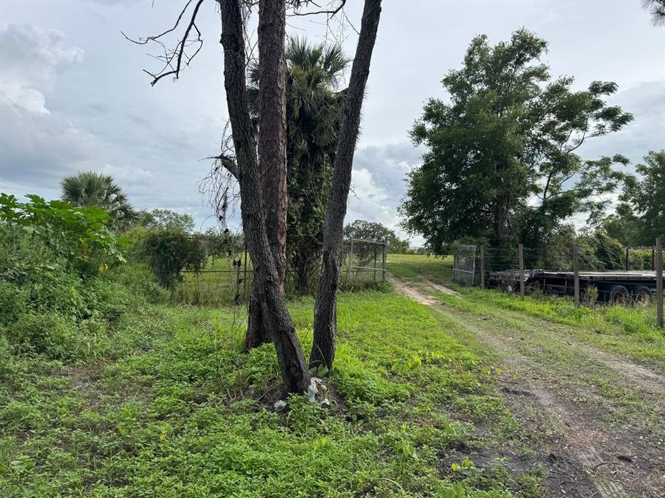 待售: $145,000 (1.99 acres)