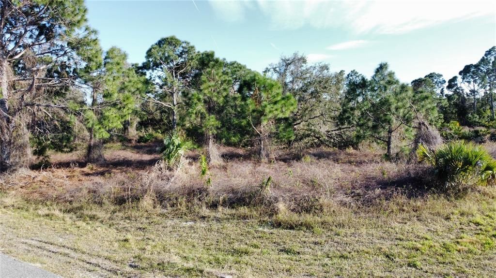 En Venta: $81,800 (0.74 acres)