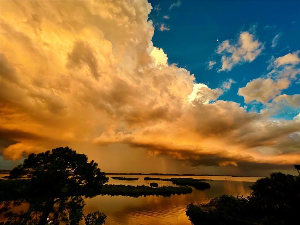 待售: $999,999 (3 贝兹, 2 浴室, 1635 平方英尺)