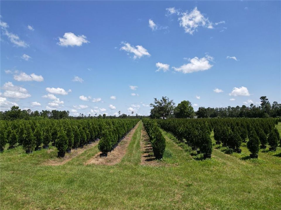 На продажу: $2,900,000 (0 спален, 0 ванн, 1216 Квадратных фут)