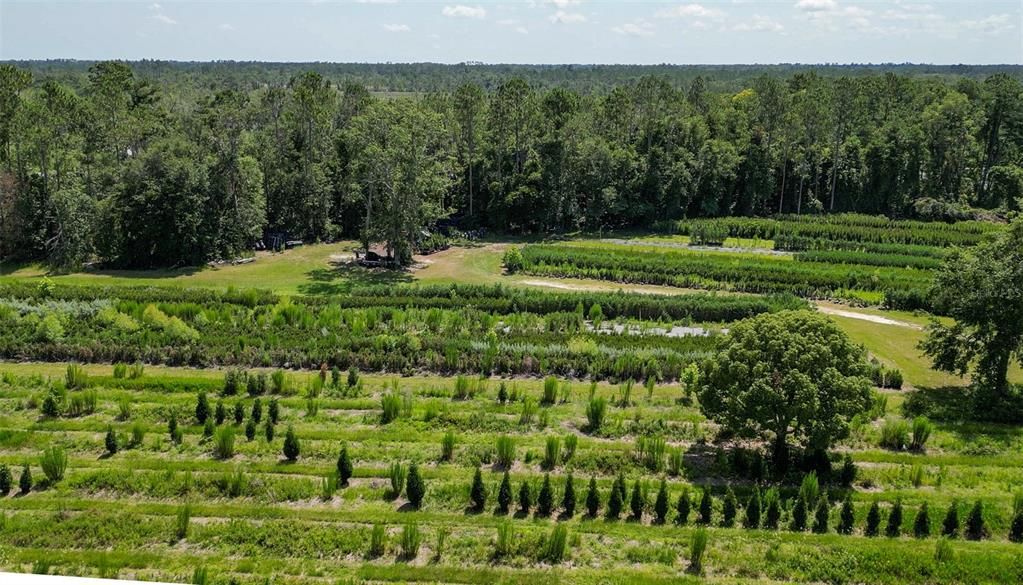 На продажу: $2,900,000 (0 спален, 0 ванн, 1216 Квадратных фут)