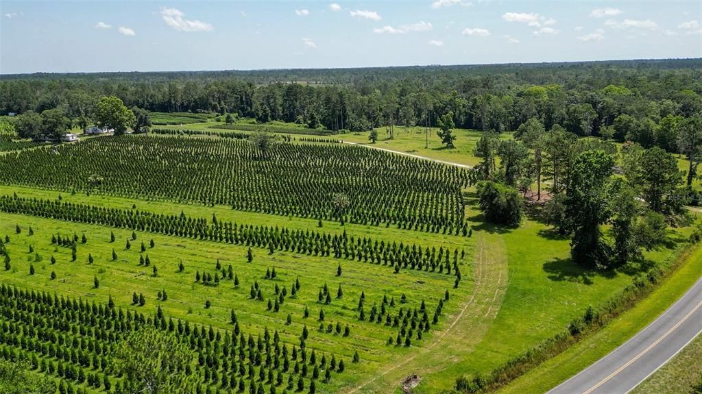 На продажу: $2,900,000 (0 спален, 0 ванн, 1216 Квадратных фут)