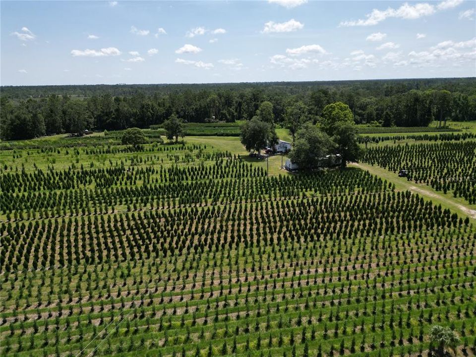 На продажу: $2,900,000 (0 спален, 0 ванн, 1216 Квадратных фут)