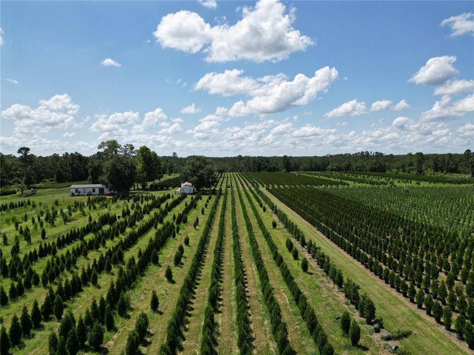 На продажу: $2,900,000 (0 спален, 0 ванн, 1216 Квадратных фут)