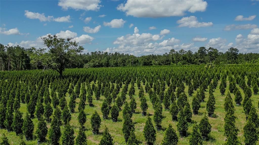 На продажу: $2,900,000 (0 спален, 0 ванн, 1216 Квадратных фут)