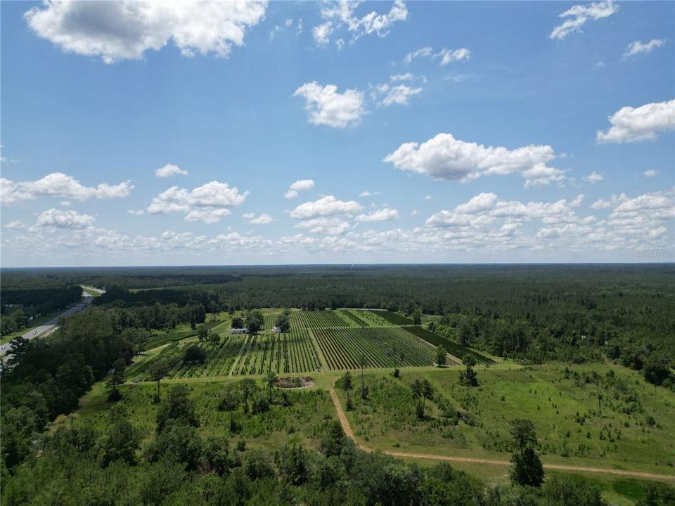 На продажу: $2,900,000 (0 спален, 0 ванн, 1216 Квадратных фут)