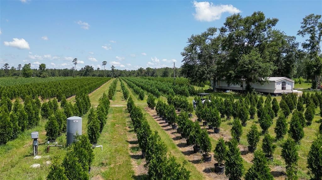 На продажу: $2,900,000 (0 спален, 0 ванн, 1216 Квадратных фут)