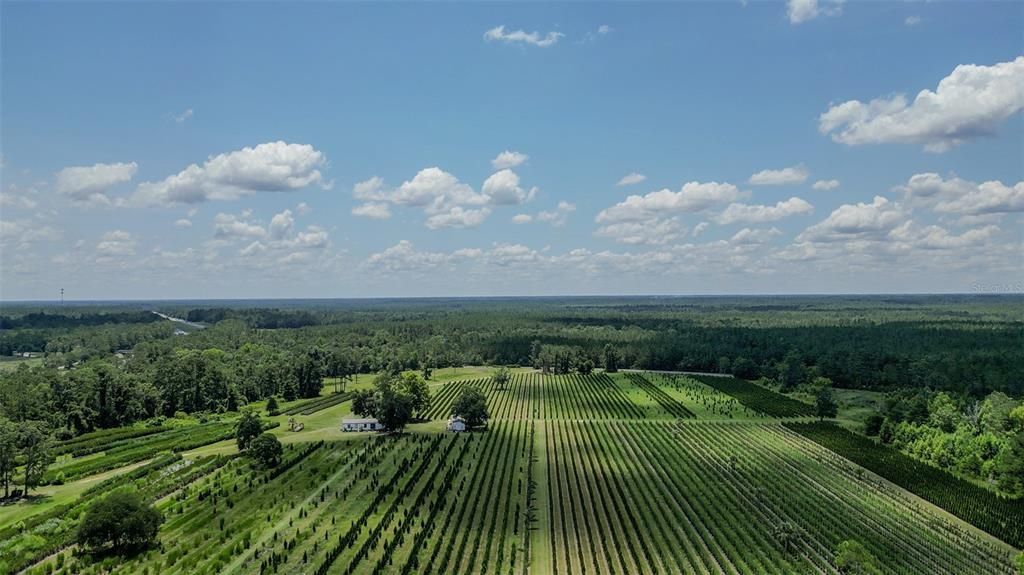 На продажу: $2,900,000 (0 спален, 0 ванн, 1216 Квадратных фут)